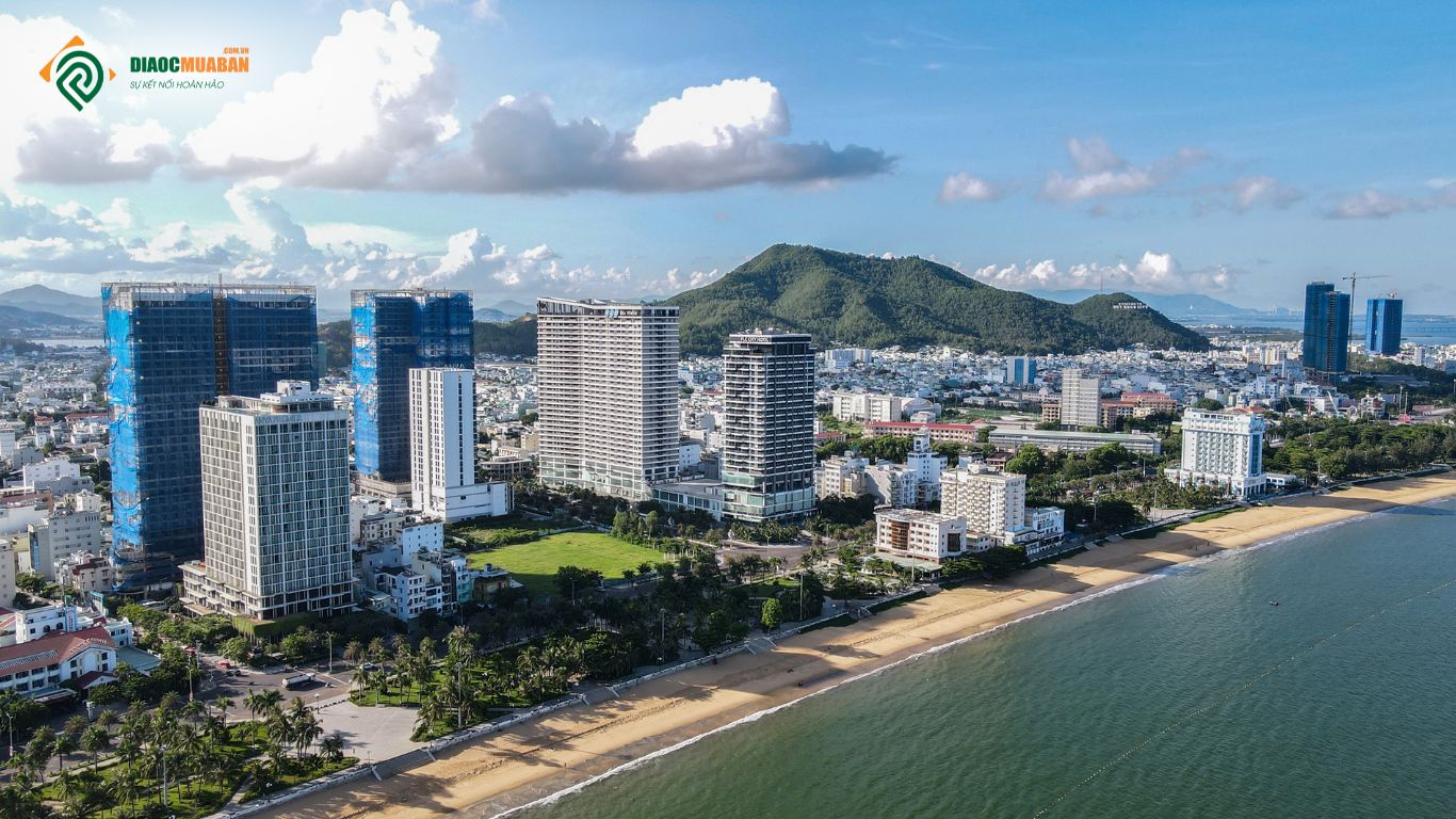 dự án căn hộ ven biển Quy Nhơn 2025