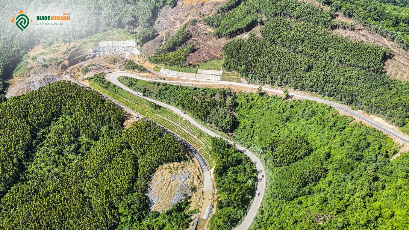 cao tốc Quy Nhơn Pleiku 2025