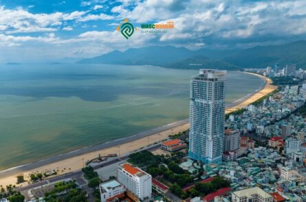bat-dong-san-Quy-Nhon-view-bien